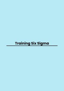 Training Six Sigma