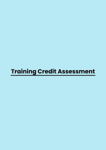 pelatihan Credit Assessment di bali