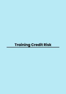 Training Credit Risk pelatihan Credit Risk di bali